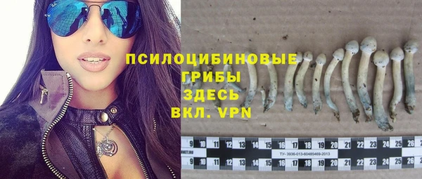 ешки Абдулино
