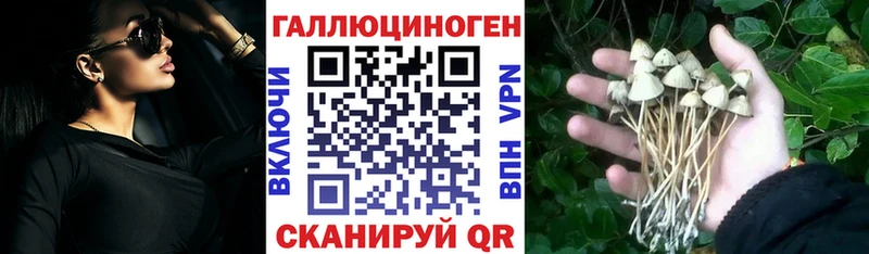 как найти Сысерть Галлюциногенные грибы мухоморы