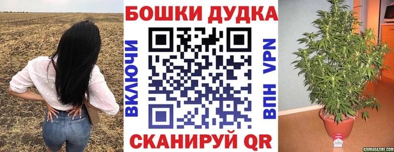 Бошки Шишки Bruce Banner  Сысерть 